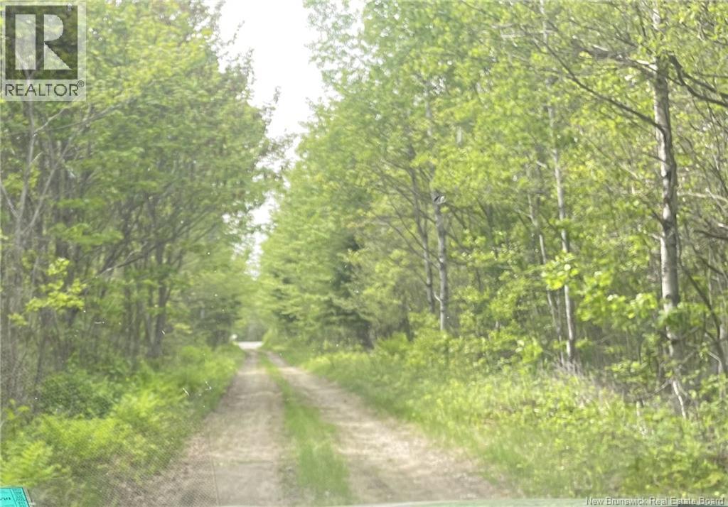 3860 Route 108, Upper Derby, New Brunswick E9E 2K1 - Photo 10 - NB141736
