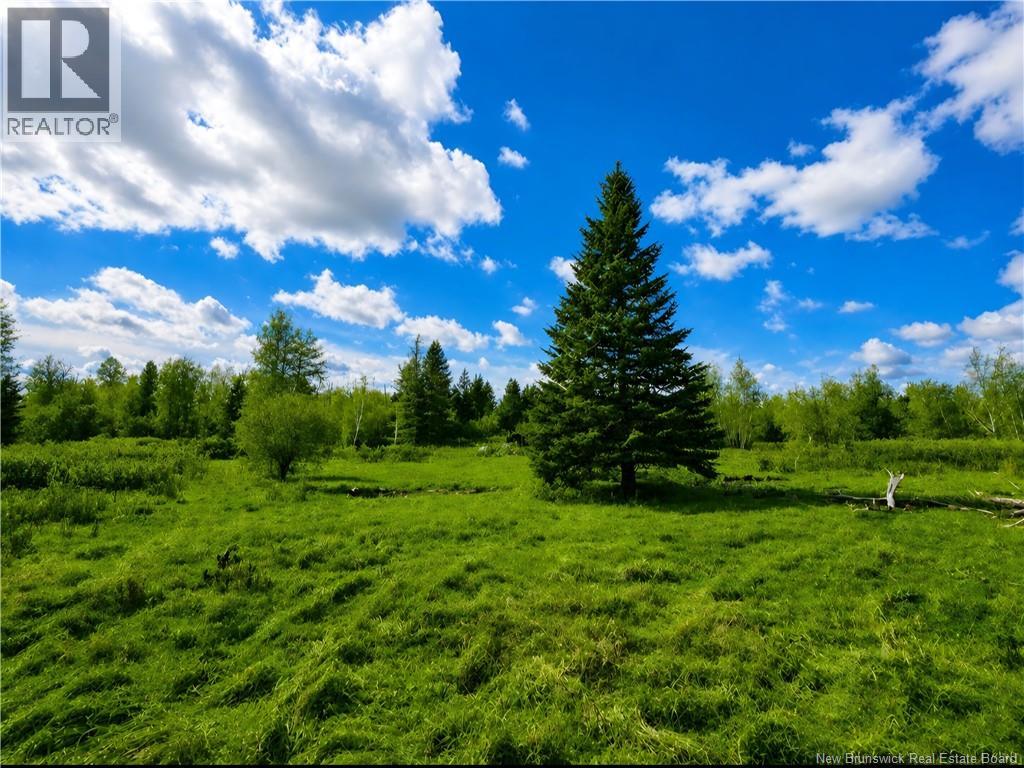 Lot West Side Road, Harcourt, New Brunswick E4T 2Y3 - Photo 2 - NB141777