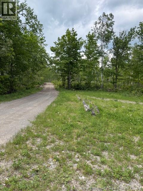 Lot 10 Woods Rd, Mccormack Brook, Balmoral, New Brunswick  E8E 1L5 - Photo 27 - NB141828