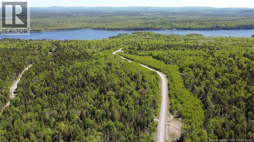 Lot 22 Misty Mountain Road, Elmsville, New Brunswick E5C 0E5 - Photo 17 - NB142260