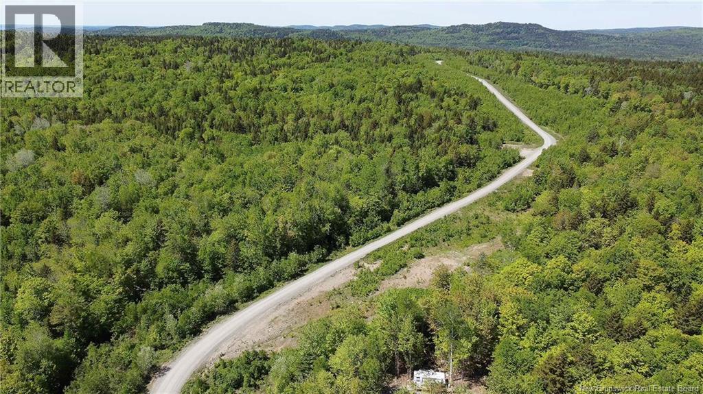 Lot 22 Misty Mountain Road, Elmsville, New Brunswick E5C 0E5 - Photo 23 - NB142260