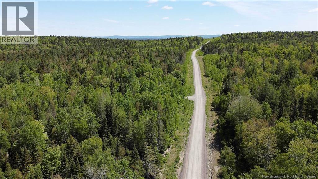 Lot 22 Misty Mountain Road, Elmsville, New Brunswick E5C 0E5 - Photo 36 - NB142260