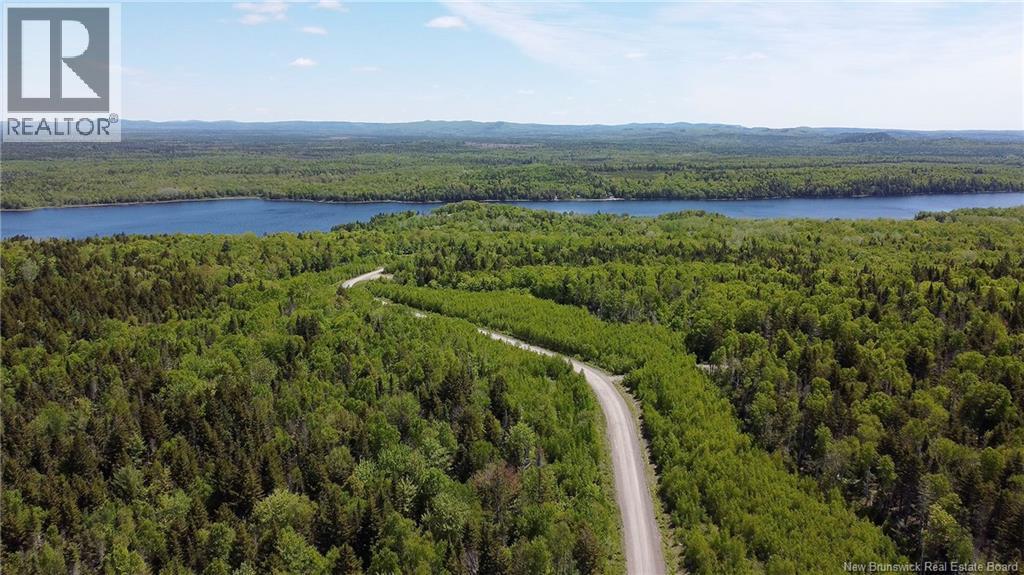 Lot 22 Misty Mountain Road, Elmsville, New Brunswick E5C 0E5 - Photo 39 - NB142260