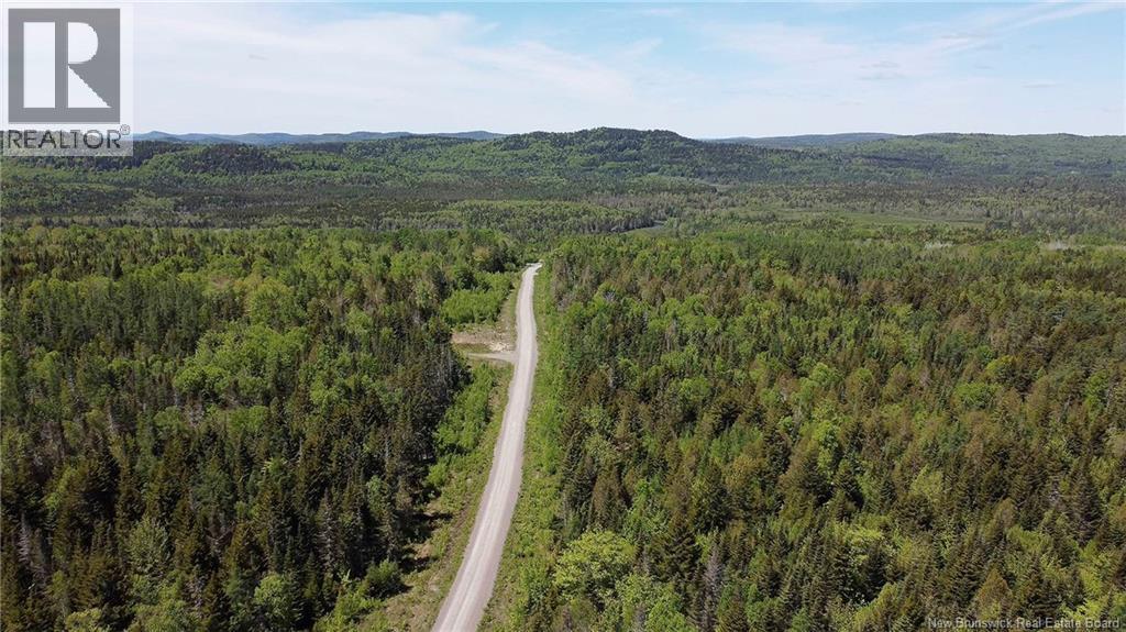 Lot 22 Misty Mountain Road, Elmsville, New Brunswick E5C 0E5 - Photo 41 - NB142260