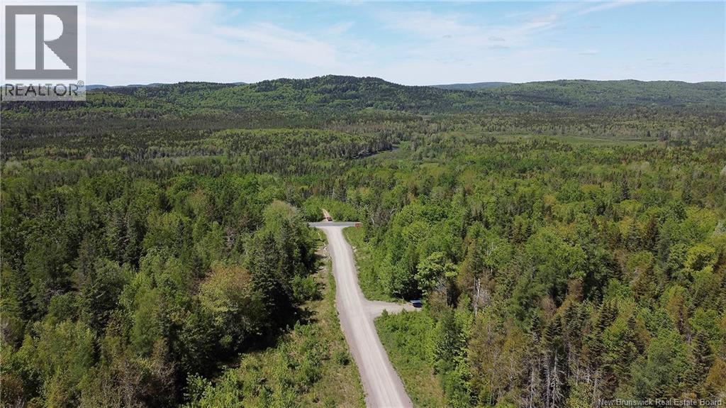 Lot 22 Misty Mountain Road, Elmsville, New Brunswick E5C 0E5 - Photo 42 - NB142260