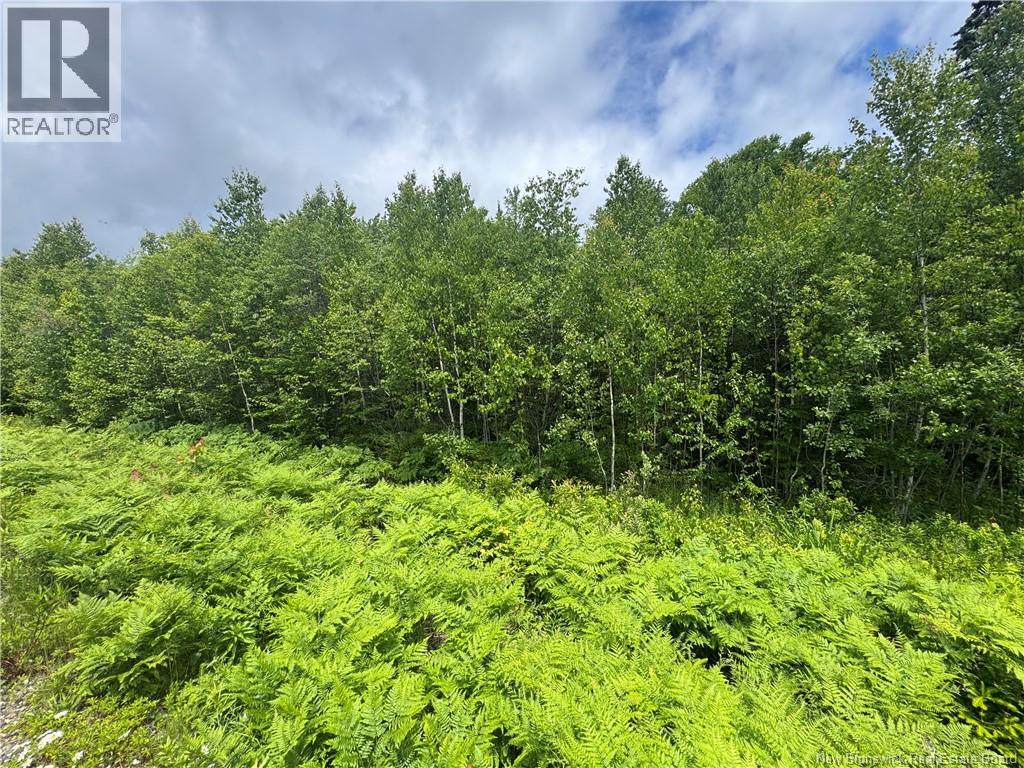 Lot 22 Misty Mountain Road, Elmsville, New Brunswick E5C 0E5 - Photo 47 - NB142260