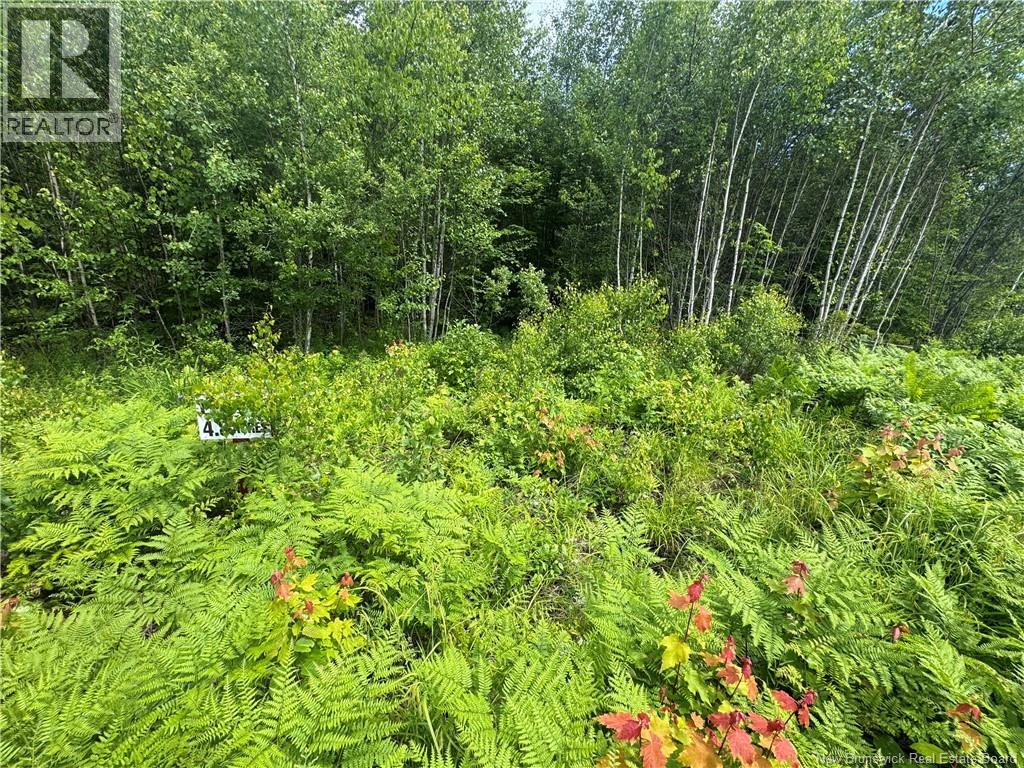 Lot 22 Misty Mountain Road, Elmsville, New Brunswick E5C 0E5 - Photo 48 - NB142260
