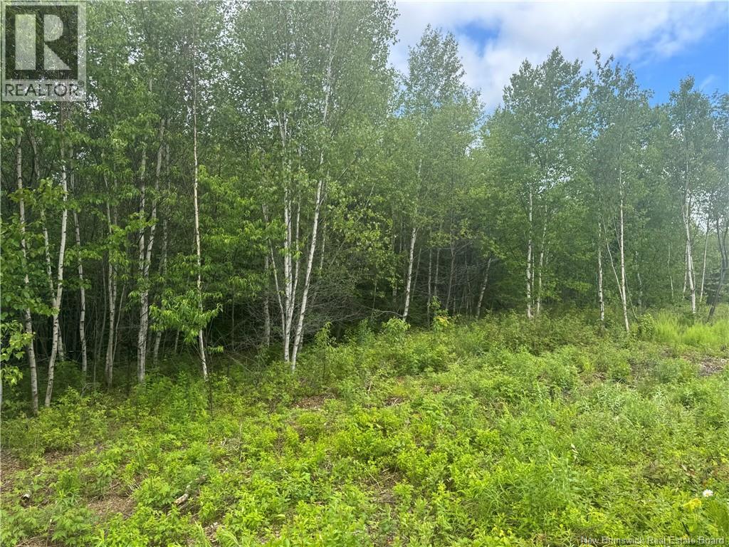 Lot 25 Misty Mountain Road, Elmsville, New Brunswick  E5C 0E5 - Photo 26 - NB142265