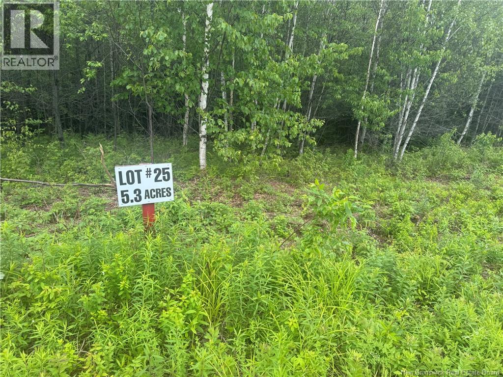 Lot 25 Misty Mountain Road, Elmsville, New Brunswick  E5C 0E5 - Photo 28 - NB142265