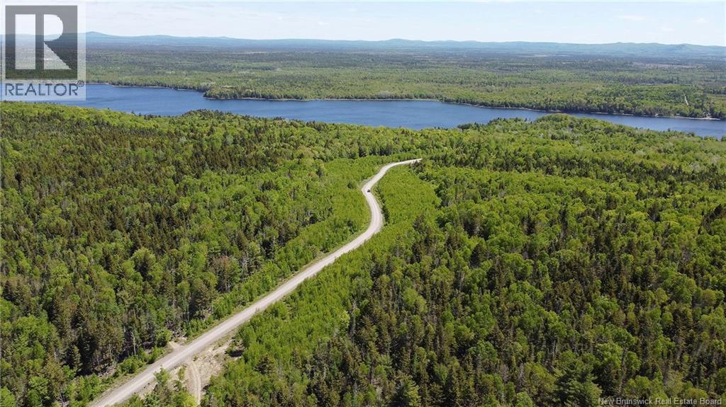 Lot 31 Misty Mountain Road, Elmsville, New Brunswick E5C 0E5 - Photo 19 - NB142264