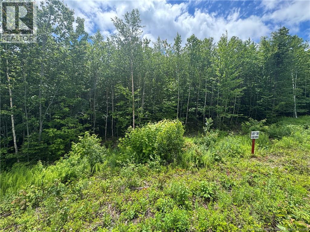 Lot 23 Misty Mountain Road, Elmsville, New Brunswick  E5C 0E5 - Photo 27 - NB142271