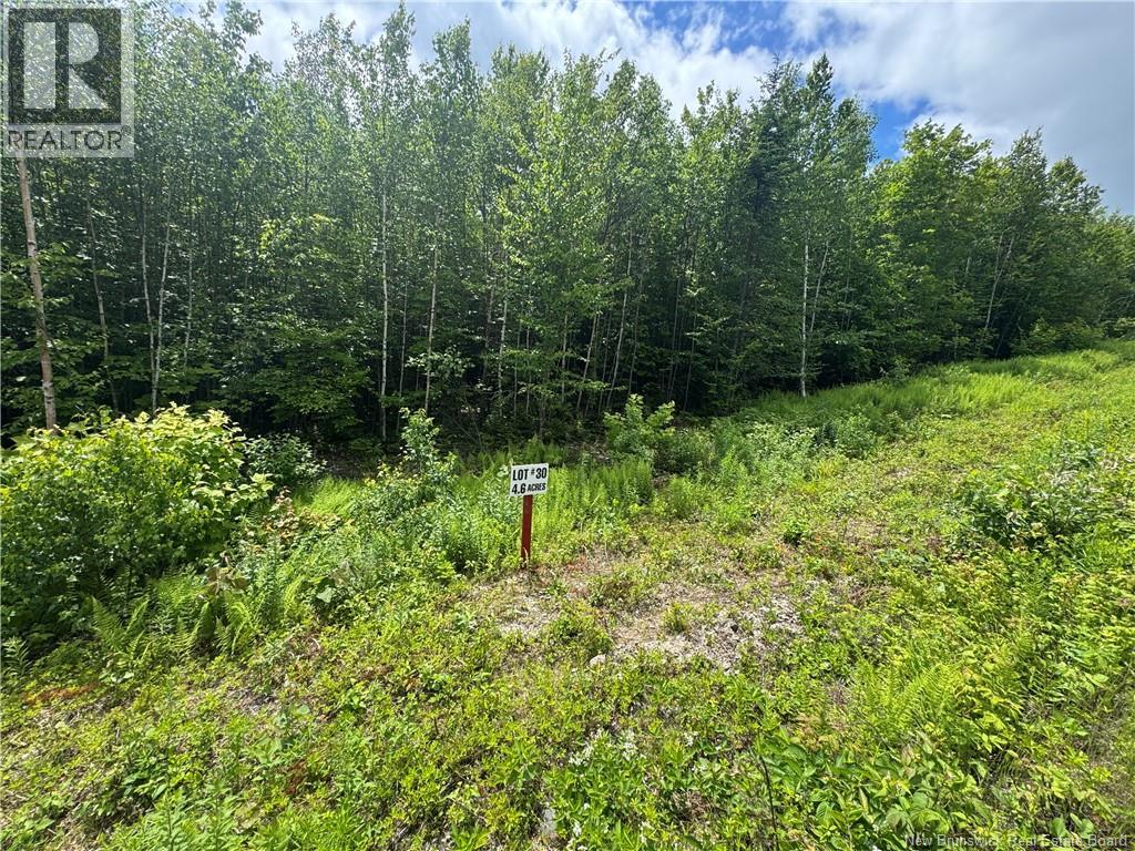Lot 30 Misty Mountain Road, Elmsville, New Brunswick  E5C 0E5 - Photo 32 - NB142273