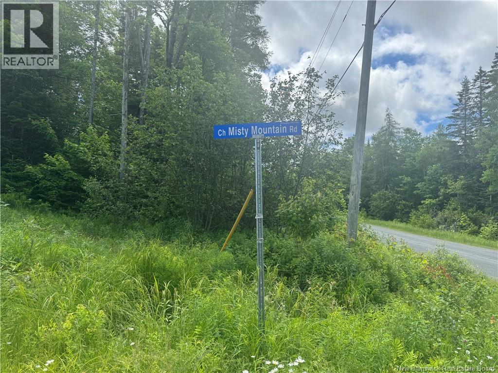 Lot 30 Misty Mountain Road, Elmsville, New Brunswick  E5C 0E5 - Photo 33 - NB142273