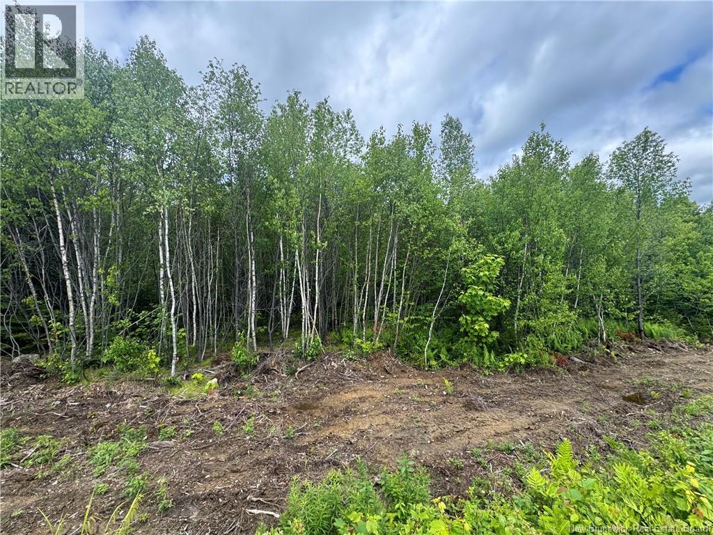 Lot 24 Misty Mountain Road, Elmsville, New Brunswick E5C 0E5 - Photo 27 - NB142270