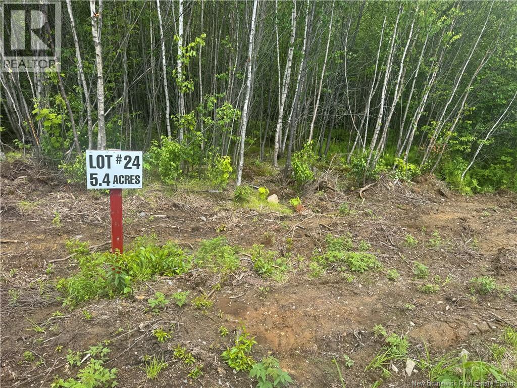 Lot 24 Misty Mountain Road, Elmsville, New Brunswick E5C 0E5 - Photo 28 - NB142270