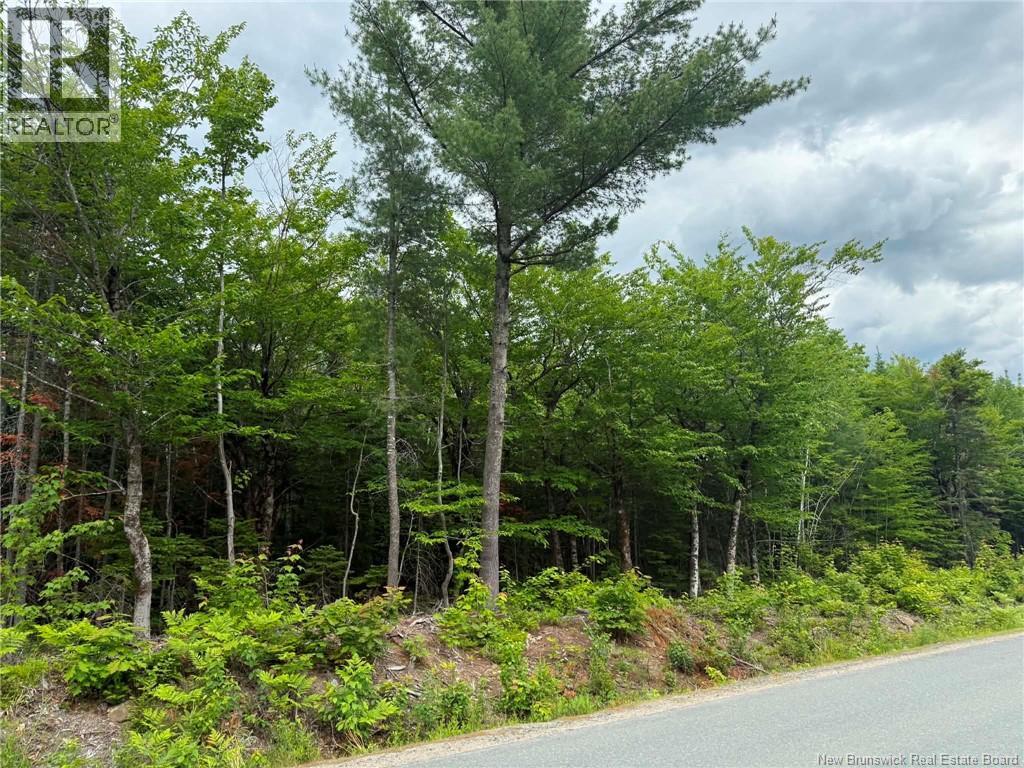 Lot 4 Hansen Road, Miramichi, New Brunswick E1V 3M2 - Photo 1 - NB142372