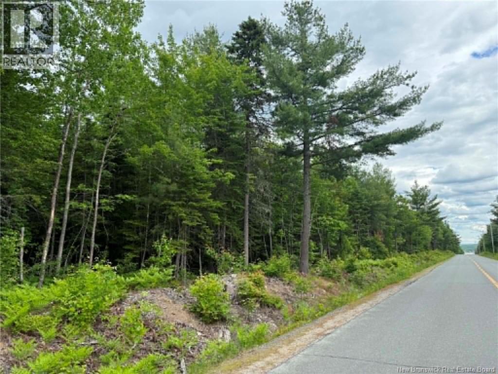 Lot 4 Hansen Road, Miramichi, New Brunswick E1V 3M2 - Photo 3 - NB142372