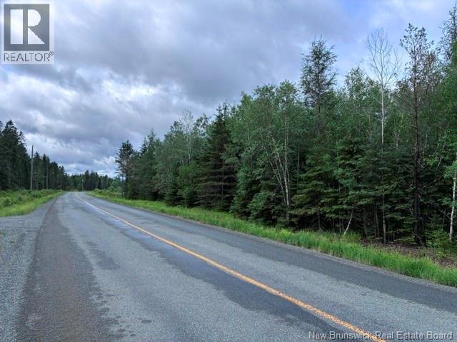 Lot Route 104, Cloverdale, New Brunswick E7P 1X1 - Photo 11 - NB142281