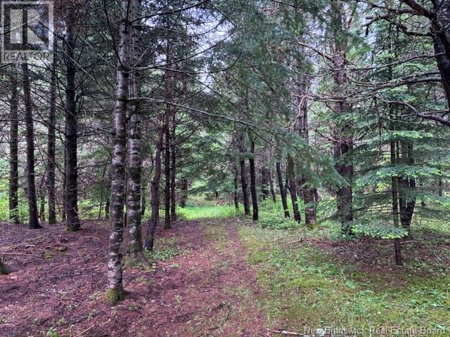Lot Route 104, Cloverdale, New Brunswick E7P 1X1 - Photo 9 - NB142281