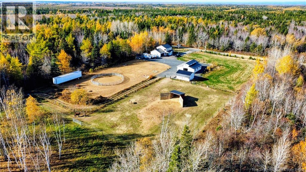 921 Rue Pinet Street, Bertrand, New Brunswick  E1W 1L8 - Photo 23 - NB142379