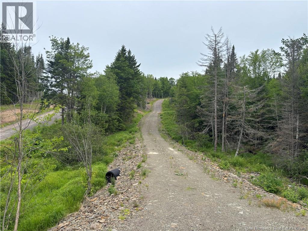 198 Acres Damascus Road, Damascus, New Brunswick  E5N 4A6 - Photo 10 - NB142016