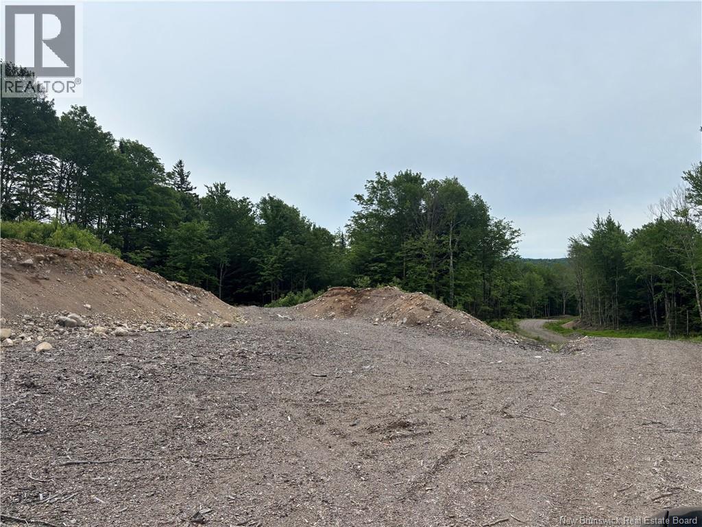 198 Acres Damascus Road, Damascus, New Brunswick  E5N 4A6 - Photo 12 - NB142016