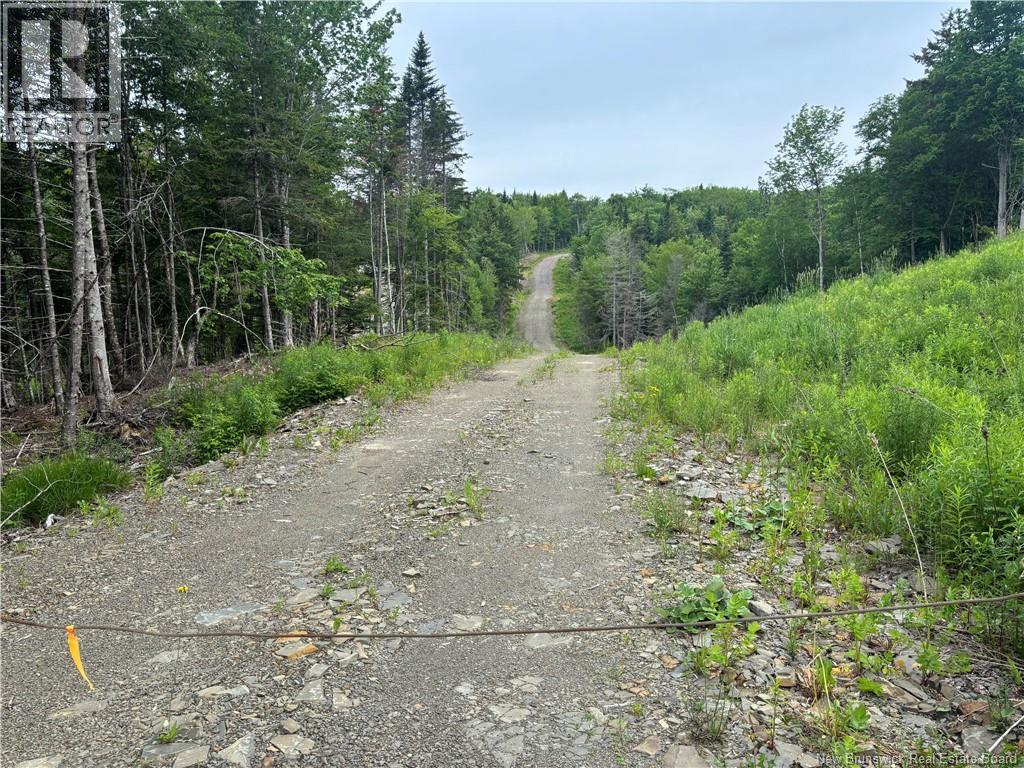 198 Acres Damascus Road, Damascus, New Brunswick  E5N 4A6 - Photo 13 - NB142016