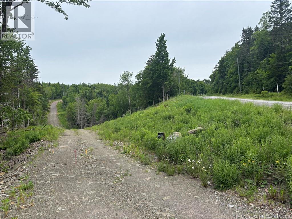 198 Acres Damascus Road, Damascus, New Brunswick  E5N 4A6 - Photo 14 - NB142016