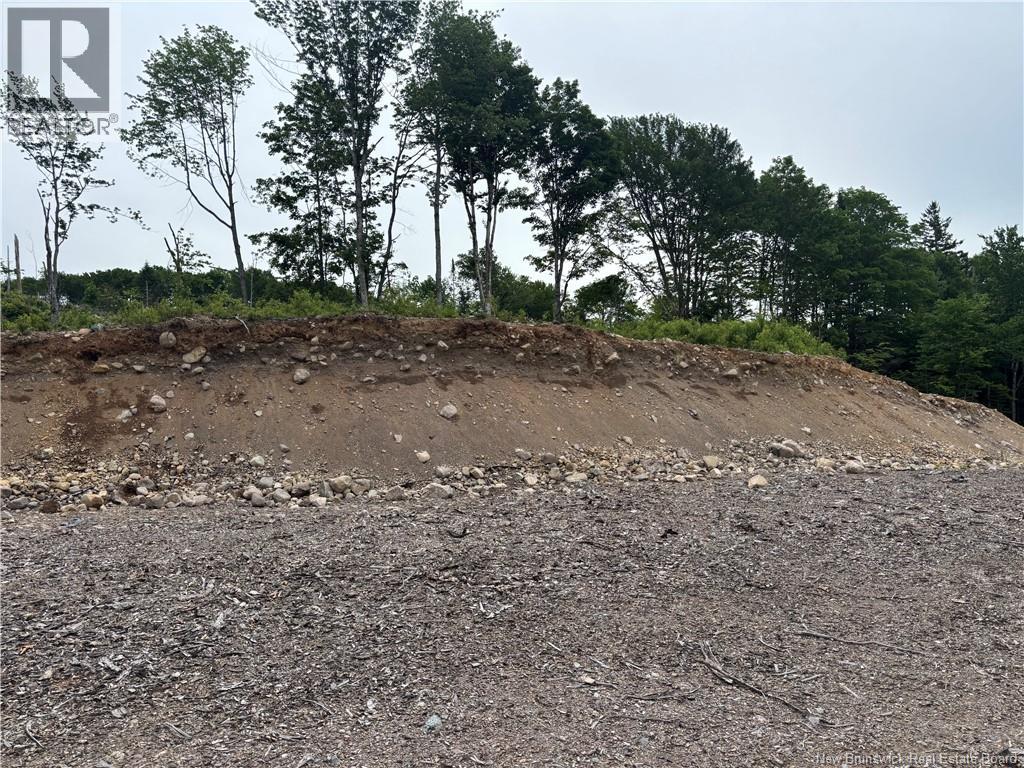 198 Acres Damascus Road, Damascus, New Brunswick  E5N 4A6 - Photo 15 - NB142016