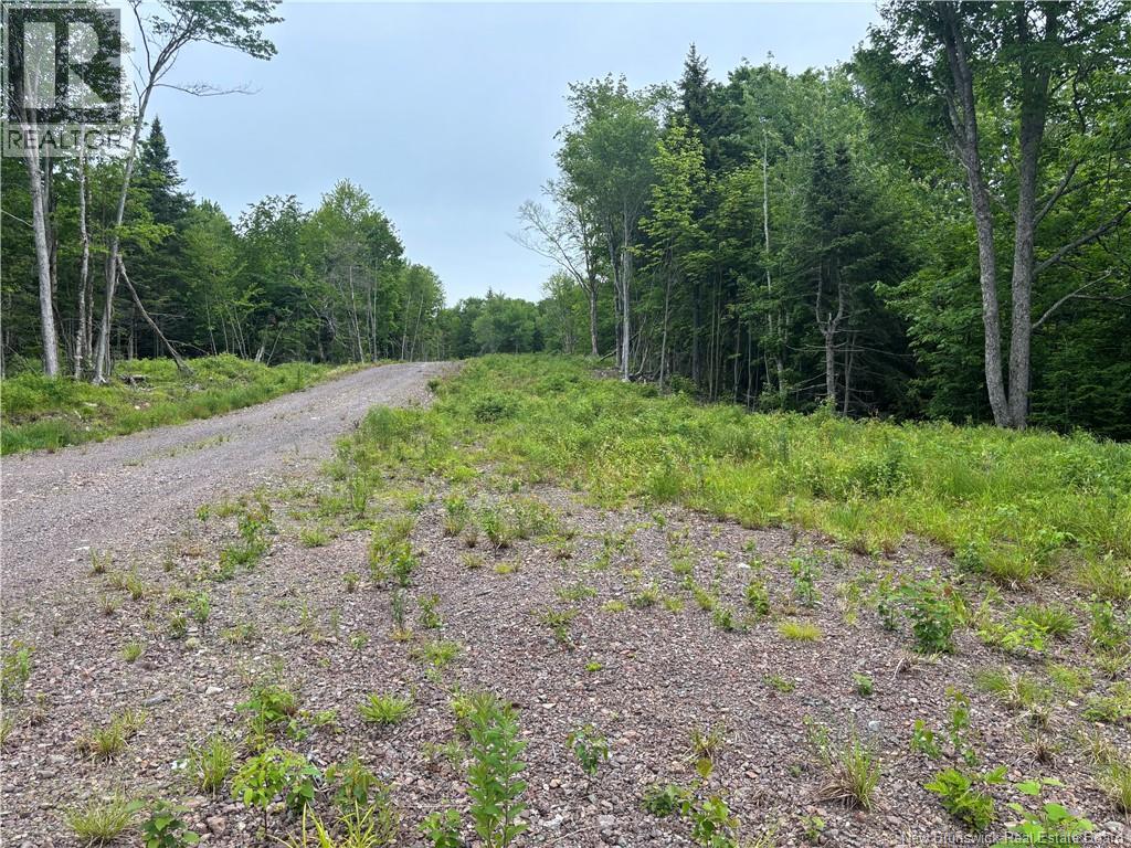 198 Acres Damascus Road, Damascus, New Brunswick  E5N 4A6 - Photo 18 - NB142016