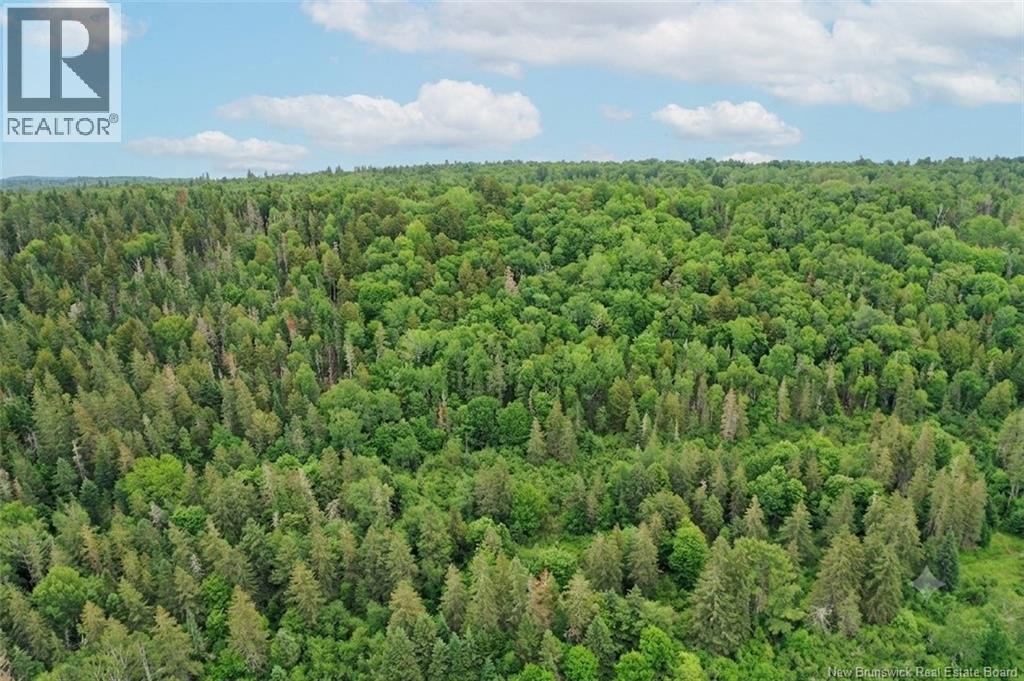198 Acres Damascus Road, Damascus, New Brunswick  E5N 4A6 - Photo 21 - NB142016