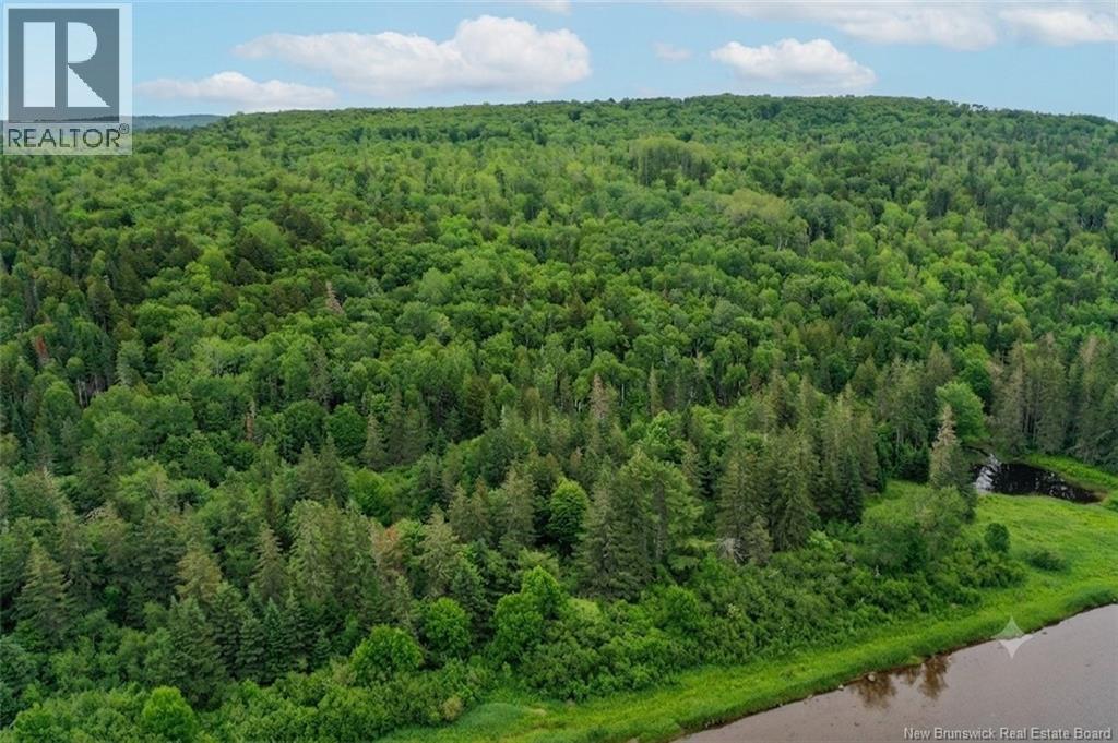 198 Acres Damascus Road, Damascus, New Brunswick  E5N 4A6 - Photo 22 - NB142016