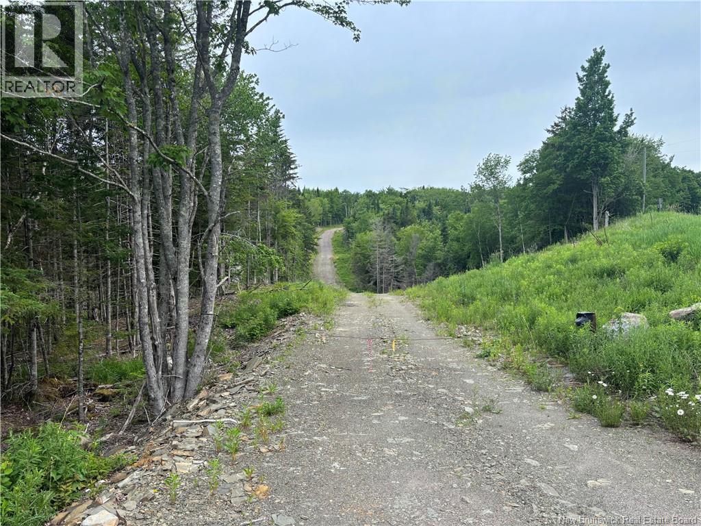 198 Acres Damascus Road, Damascus, New Brunswick  E5N 4A6 - Photo 7 - NB142016