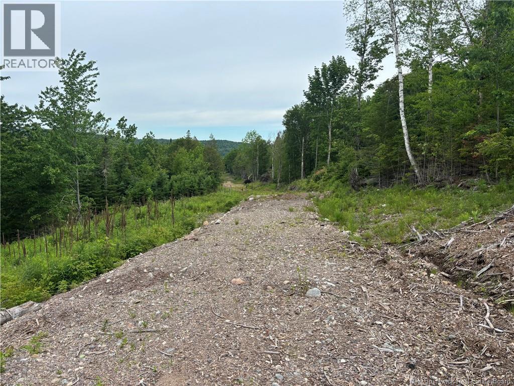 198 Acres Damascus Road, Damascus, New Brunswick  E5N 4A6 - Photo 9 - NB142016