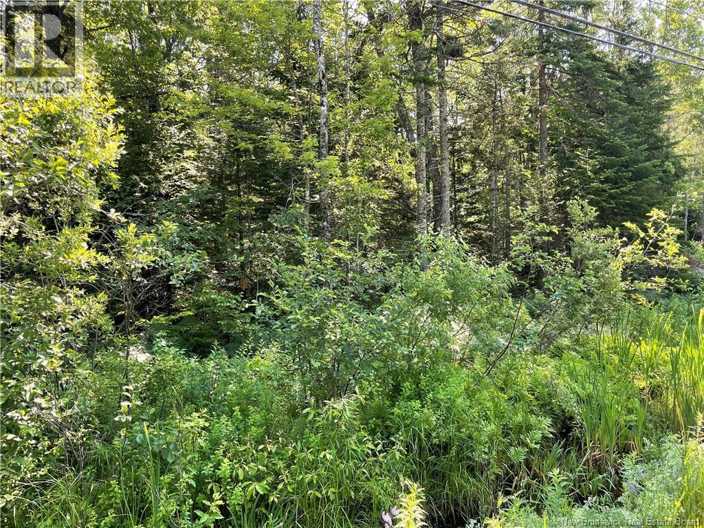 Lot 1 Route 490, Mcquade, New Brunswick  E1G 3J4 - Photo 2 - NB142503
