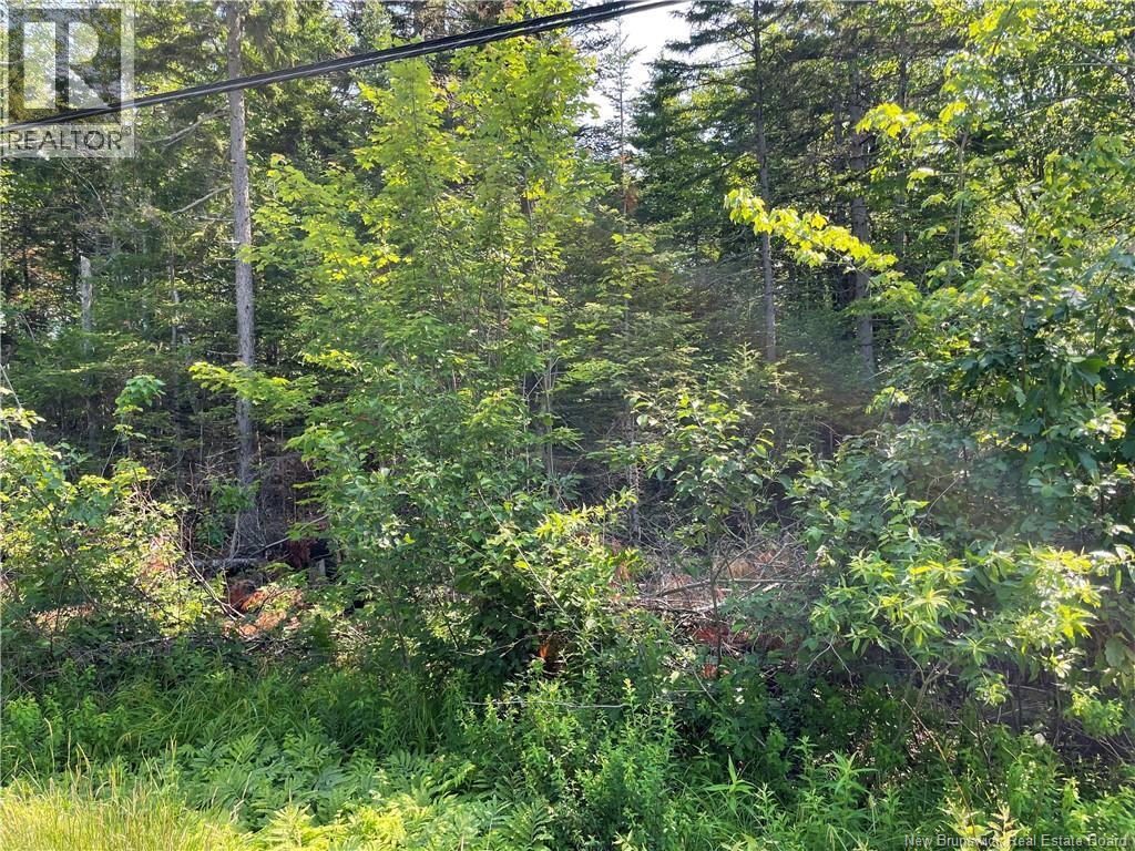 Lot 3 Route 490, Mcquade, New Brunswick  E1G 3J4 - Photo 2 - NB142507