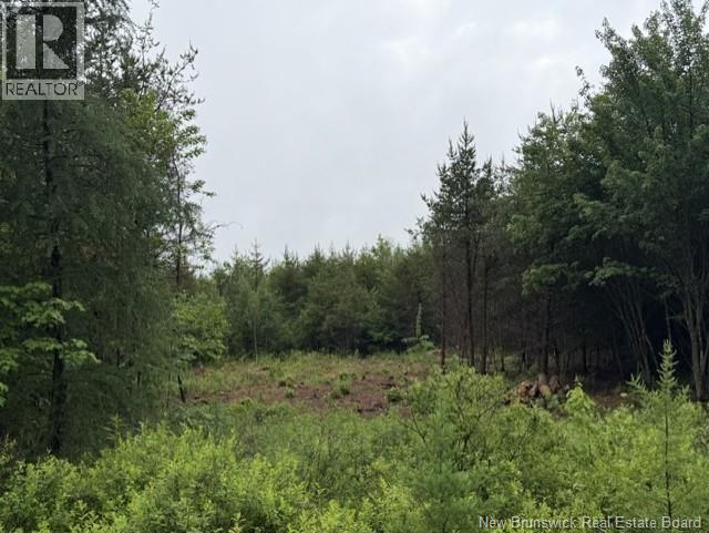Lot 2 W P Black Lane, New Canaan, New Brunswick  E4Z 5X5 - Photo 6 - NB142333