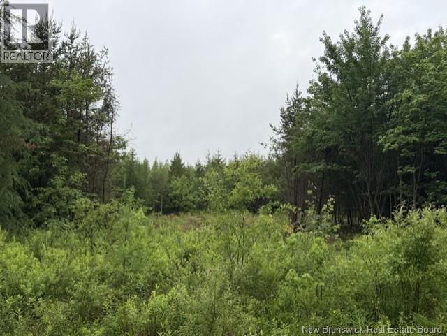 Lot 2 W P Black Lane, New Canaan, New Brunswick  E4Z 5X5 - Photo 7 - NB142333