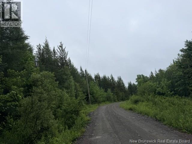 Lot 2 W P Black Lane, New Canaan, New Brunswick  E4Z 5X5 - Photo 8 - NB142333