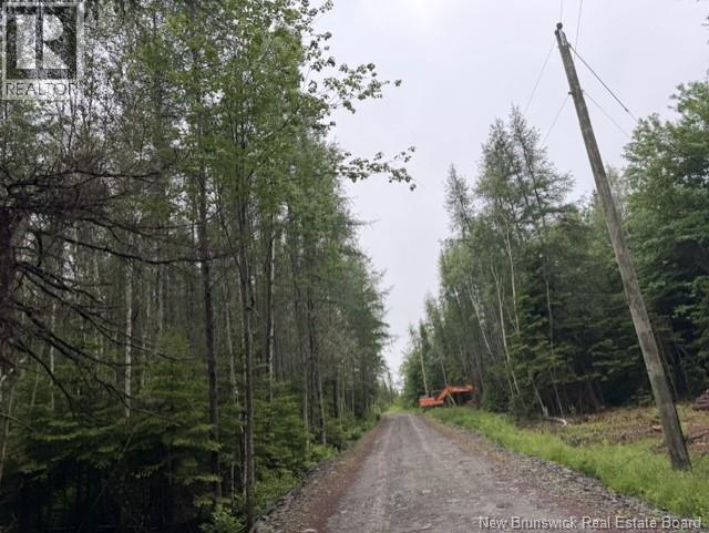 Lot 2 W P Black Lane, New Canaan, New Brunswick  E4Z 5X5 - Photo 9 - NB142333
