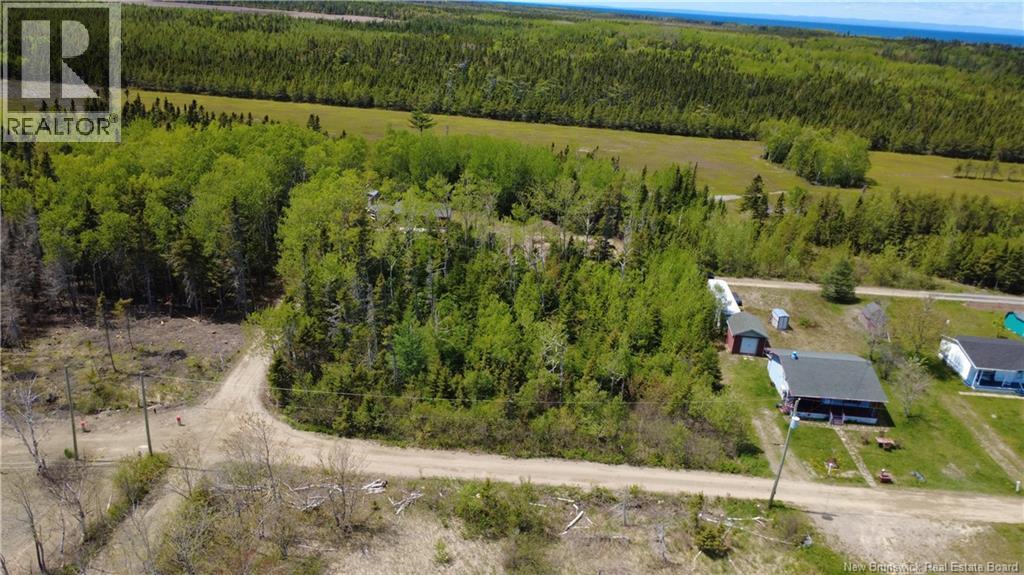 990 M2 Allée Abbé Pointe, Shippagan, New Brunswick E8T 2Y1 - Photo 10 - NB142276