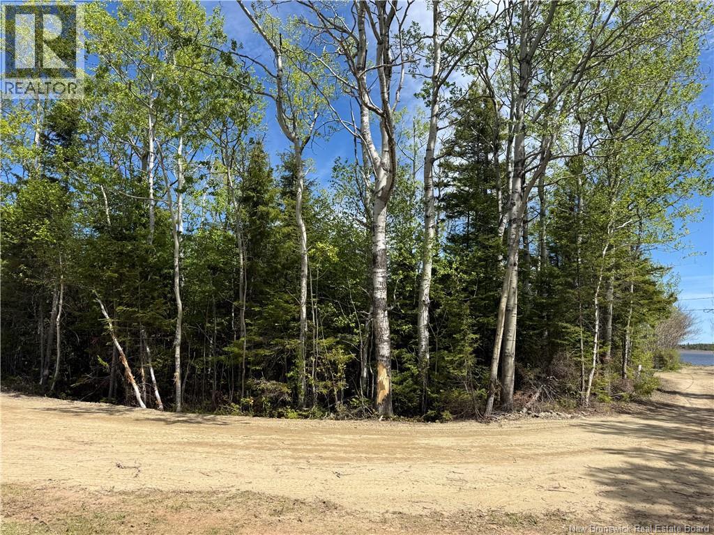 990 M2 Allée Abbé Pointe, Shippagan, New Brunswick E8T 2Y1 - Photo 2 - NB142276