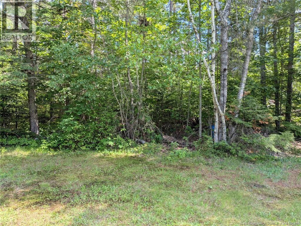 8 Fenton Street, Miramichi, New Brunswick  E1N 3G3 - Photo 33 - NB142525