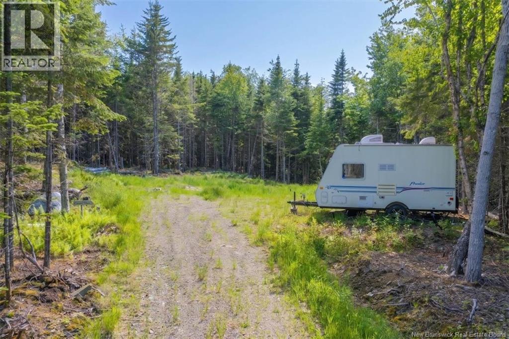 / Chamcook #3 Road, Bayside, New Brunswick  E5B 2X4 - Photo 14 - NB142470