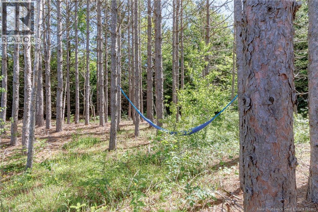 33 Summerville Road, Summerville, New Brunswick  E5S 1G4 - Photo 27 - NB142439