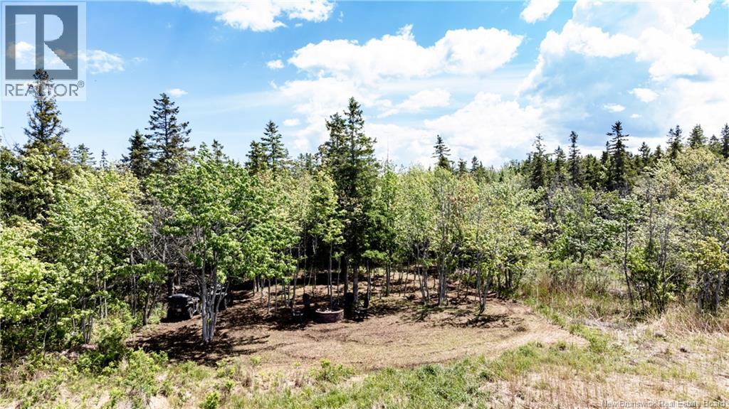 3672 Route 505, Richibucto-Village, New Brunswick  E4W 1R2 - Photo 38 - NB142292