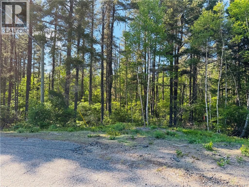 Lot 2026-2 Crystal Drive, Miramichi, New Brunswick  E1N 3P7 - Photo 3 - NB142982