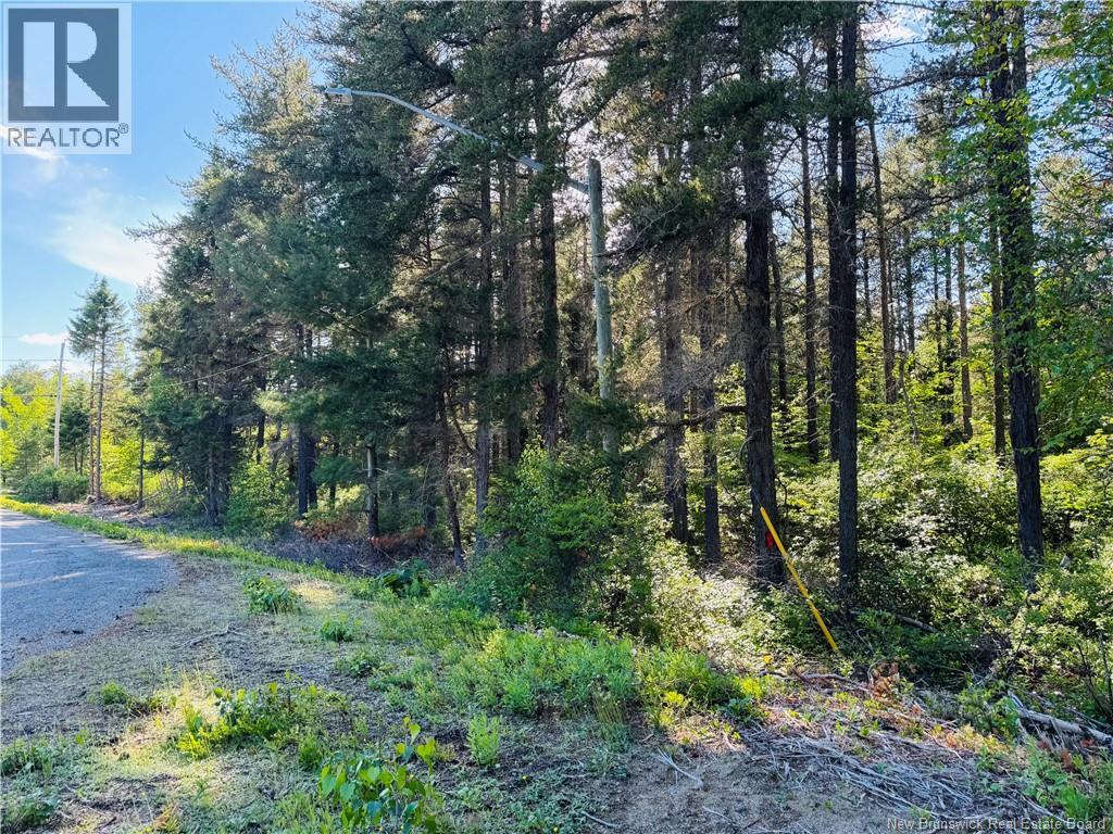 Lot 2026-2 Crystal Drive, Miramichi, New Brunswick  E1N 3P7 - Photo 6 - NB142982