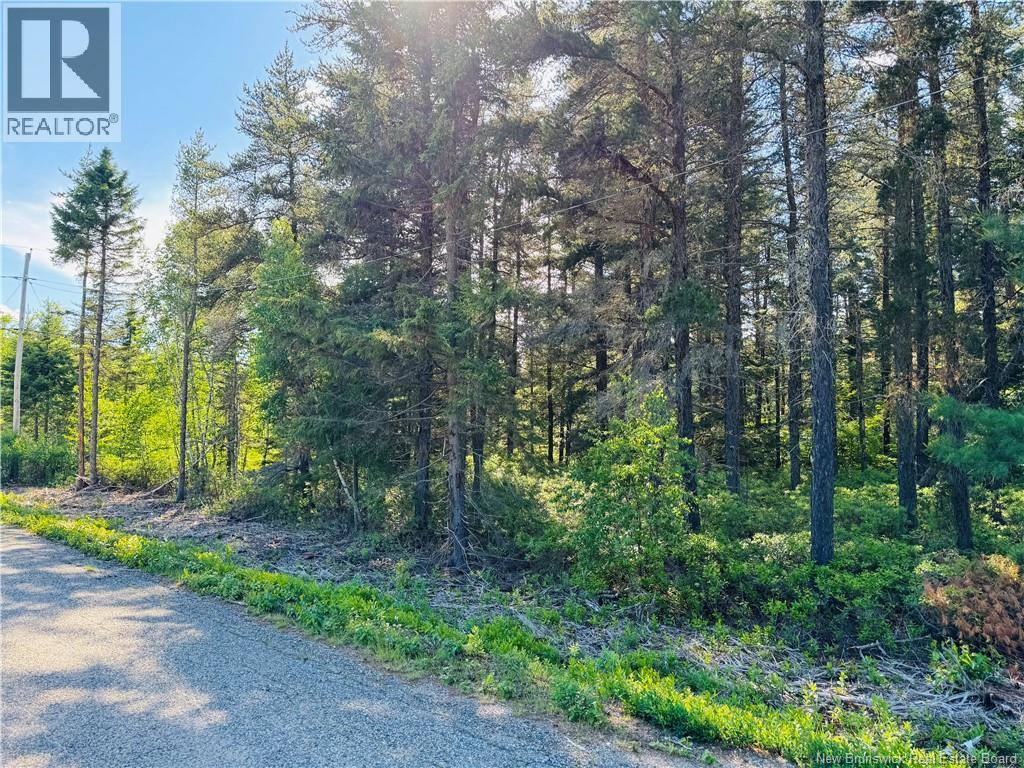 Lot 2026-2 Crystal Drive, Miramichi, New Brunswick  E1N 3P7 - Photo 7 - NB142982