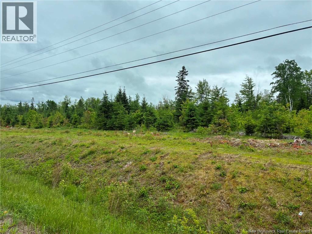 Route 17, Kedgwick, New Brunswick E8B 1X2 - Photo 2 - NB142658